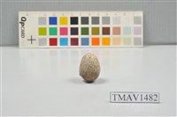 藏品(日本雲雀卵)的圖片